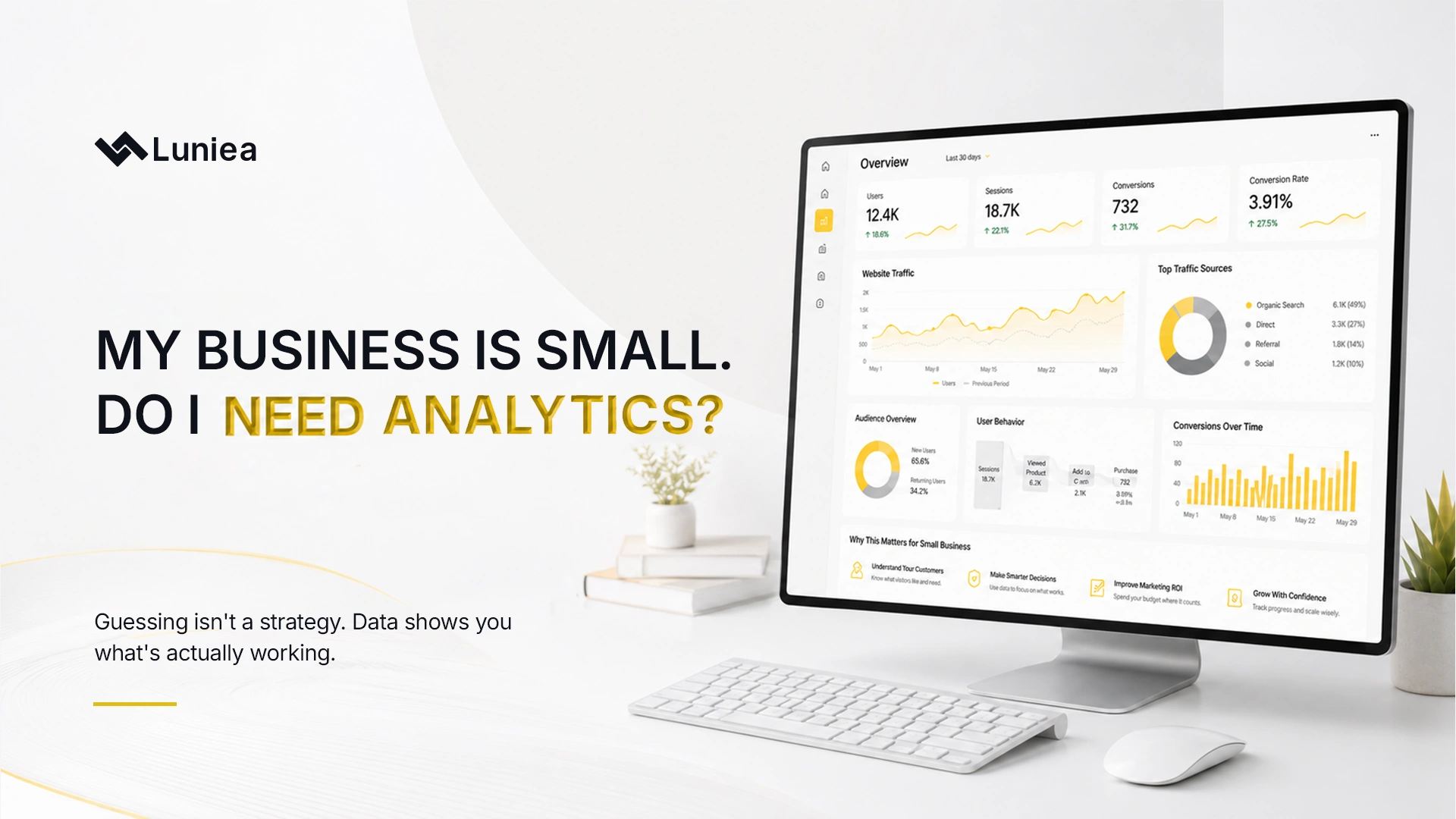 Small Business Analytics